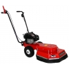 Машина для чистки плитки и брусчатки Tielbuerger TW50 B&S